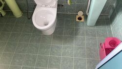 Blk 472 Choa Chu Kang Avenue 3 (Choa Chu Kang), HDB 5 Rooms #458206951